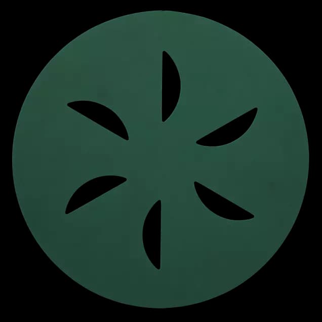 Norton Disc SandDollar 16in Very Fine - Green - Image 1