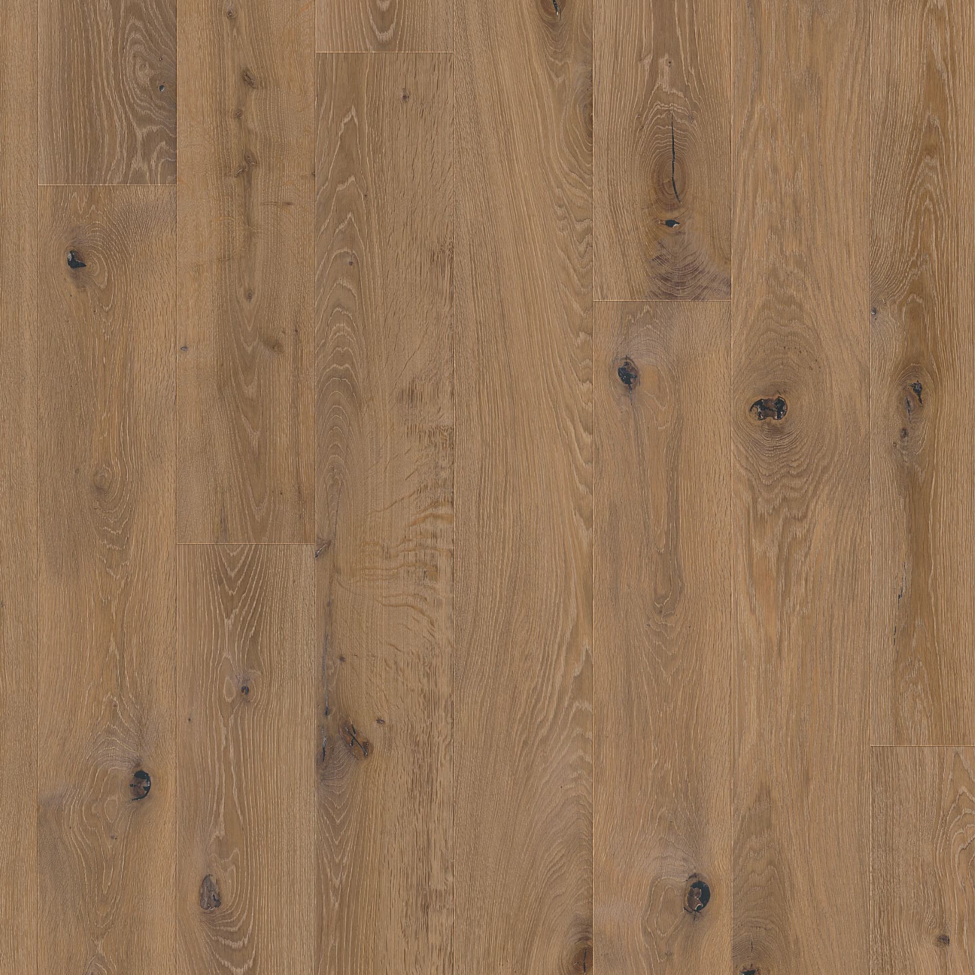 Southern Luxe - Vintage - Georgetown | European White Oak Engineered Flooring - Image 2