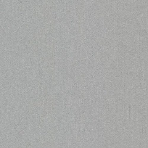 NEVAMAR - SILVER DOLLAR - 5 X 10 SHEET - SUEDE FINISH - POST FORM GRADE LAMINATE