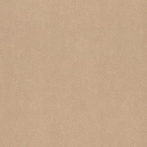 PIONITE - TRAVELIN LIGHT - 5 X 12 SHEET - SUEDE FINISH - POST FORM GRADE LAMINATE