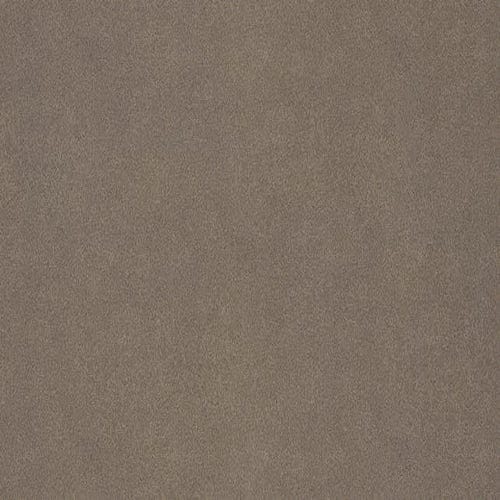 PIONITE - PASSIN THROUGH - 4 X 8 SHEET - SUEDE FINISH - POST FORM GRADE LAMINATE