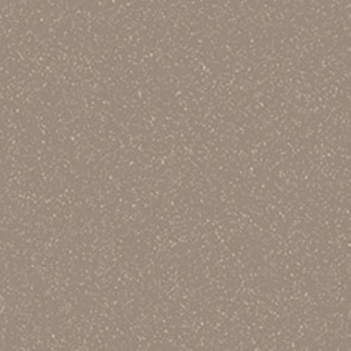 STMCARB1181 - StyleLite - Panel - Champagne TruGloss - 1 Sided - 4 ft x 8 ft x 3/4 in