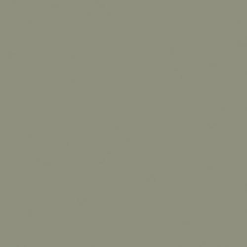 ZTPE4721 - StyleLite - Pre-Primed Edgeband - Rainfor TruMatte - 15/16 in x 328 ft x 1mm