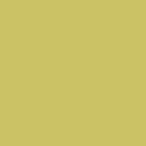 S-5057 - KOOL KIWI  30 x 144 - Suede Finish -  Post Form Grade Laminate - Nevamar