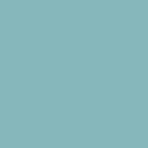 PIONITE - SURFIN USA - 4 X 8 SHEET - SUEDE FINISH - POST FORM GRADE LAMINATE