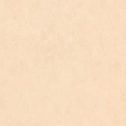 NEVAMAR - OCHRE TEMPERA - 4 X 8 SHEET - ARP FINISH - VERTICAL GRADE LAMINATE
