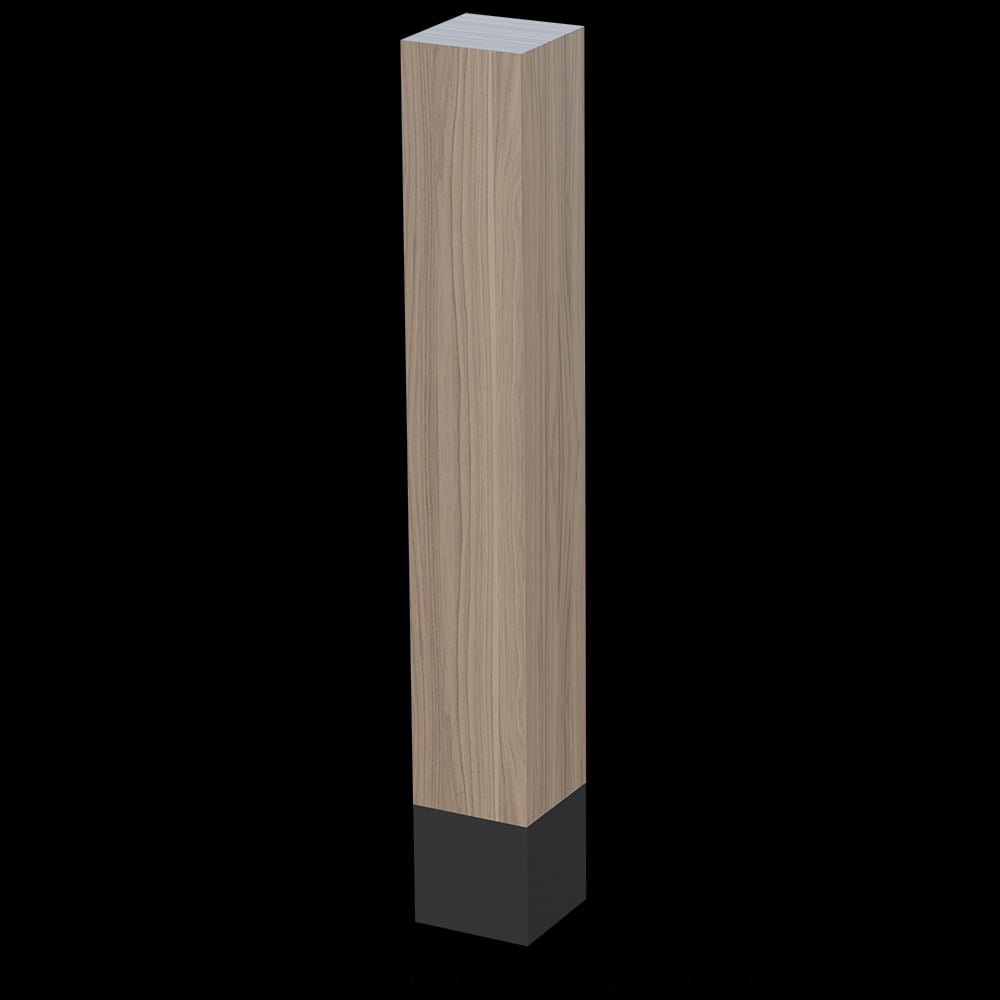 DOD-01725010WLWR1 - image 1