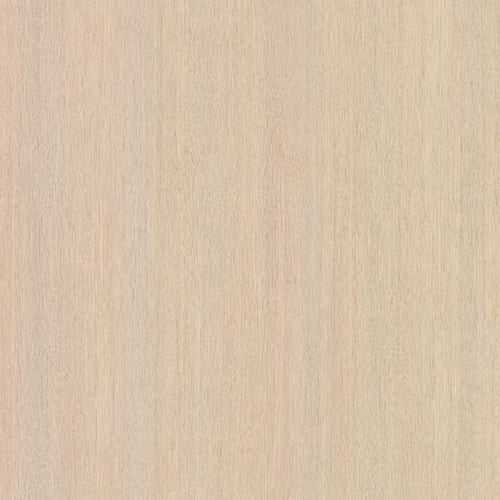 WK0025-312-T-NF39 - image 1