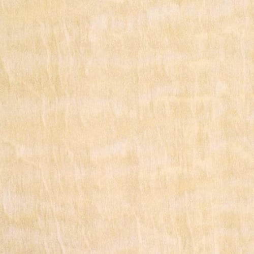 WZ0001-312-T-NF39 - image 1
