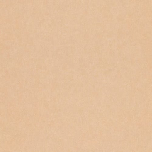 YSN001-48-T-NF39 - image 1