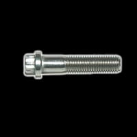 12-Point Bolts